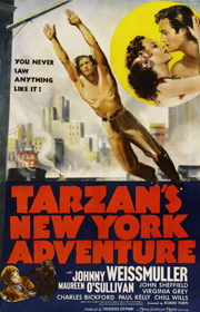 Tarzan's New York Adventure