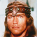 Arnold Schwarzenegger